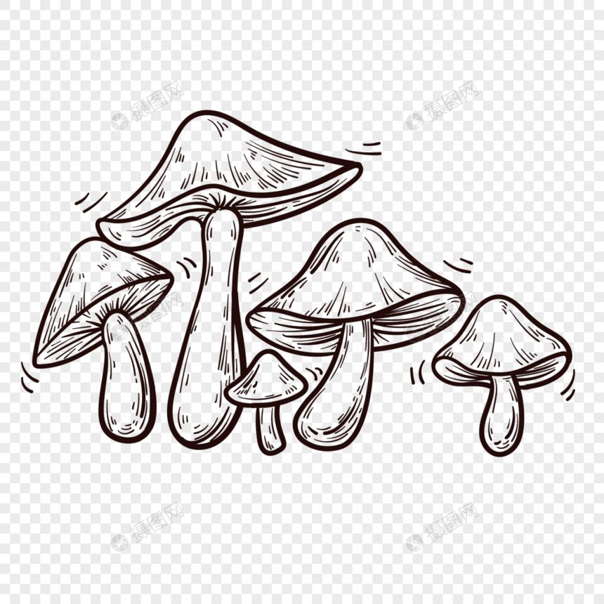 手绘植物蘑菇简笔画图片