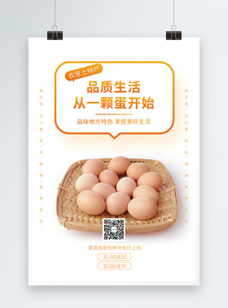 土特产包装农家土特产土鸡蛋促销海报模板
