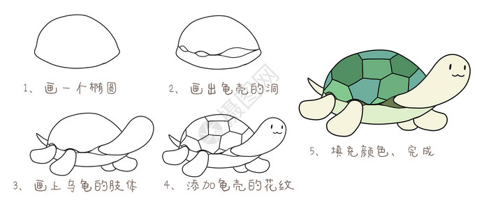 幼儿园绘画小乌龟简笔画教程插画