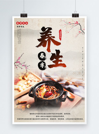 食疗药膳春季养生中国风宣传海报模板