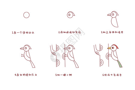 啄木鸟简笔画步骤背景图片