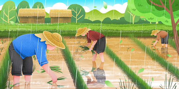 春天谷雨农民在田里插秧背景图片