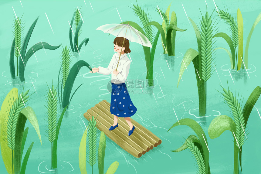 谷雨节气下雨天女孩在麦田竹筏上打伞