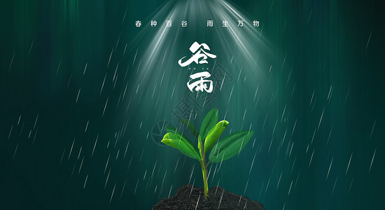 谷雨下雨谷雨设计图片