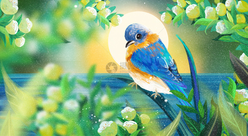 蓝色鸟手绘插画图片