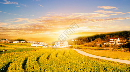 四川崇州油菜花风景乡村公路背景设计图片
