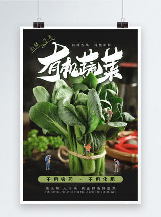 小白菜蔬菜简约时尚有机蔬菜海报模板