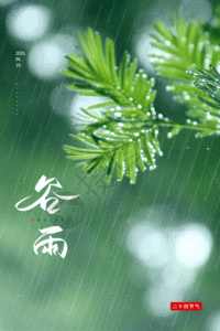 中国传统二十四节气之谷雨海报GIF图片
