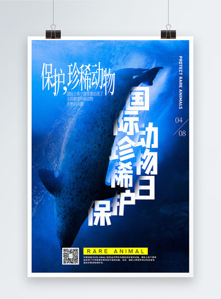 海豹杏仁豆腐蓝色国际珍稀动物保护日海报模板