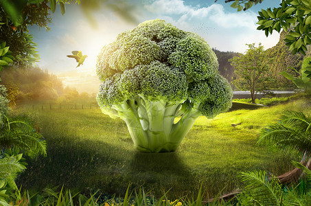 绿色西兰花创意蔬菜场景设计图片