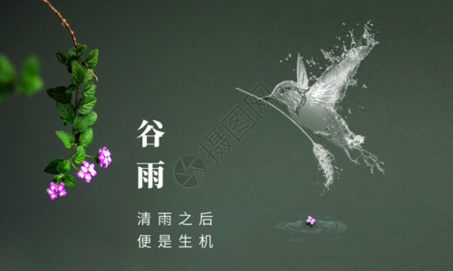 谷雨节日海报谷雨节气海报GIF高清图片