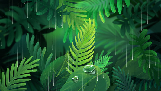 雨天绿植雨天植物手绘插画