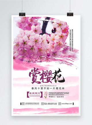 我们一起看樱花春季赏樱花海报模板
