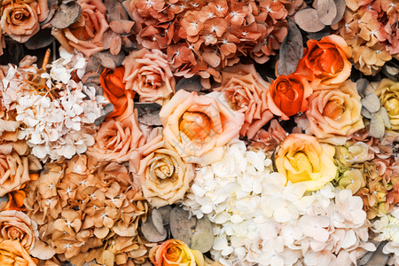 彩色玫瑰花鲜花鲜花墙设计图片