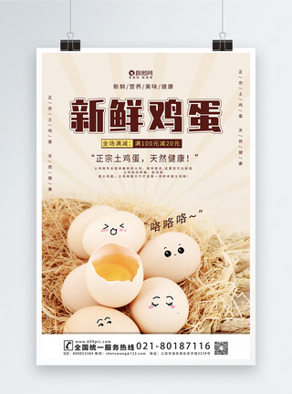 家禽鸡蛋新鲜鸡蛋宣传促销海报模板模板