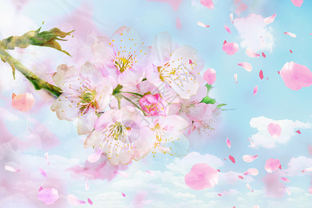 浪漫樱花背景图片