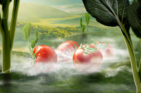 菠菜和西红柿创意蔬菜场景设计图片