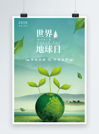 清新自然白菊花世界地球日绿色清新海报设计模板