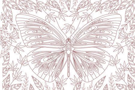 秘密花园之蝴蝶填色游戏背景图片