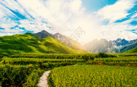 山蓝天乡村公路背景设计图片