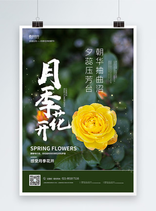 一朵月季花春季赏花去海报设计模板