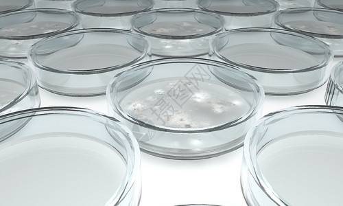 蛋白C4D培养皿设计图片