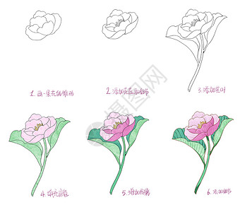 母亲节花卉简笔画教程图片