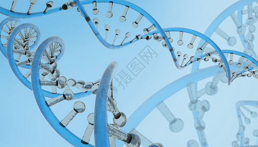 表观遗传DAN基因链设计图片