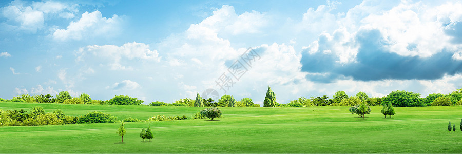 草地天空背景树高清图片素材