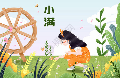 节日节气之小满插画背景图片