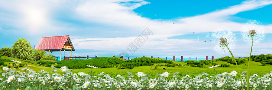 清新户外素材草地天空背景设计图片