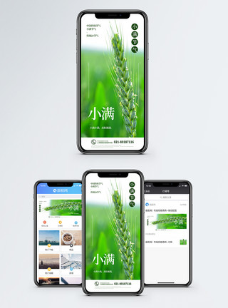 黄绿色背景小满节气手机海报配图模板