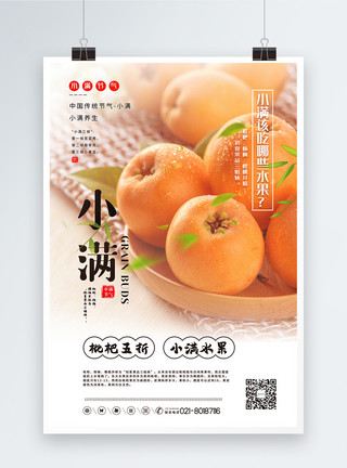 夏季水果枇杷枇杷促销小满节气水果促销系列海报模板