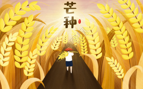 插画道路芒种节气插画GIF高清图片