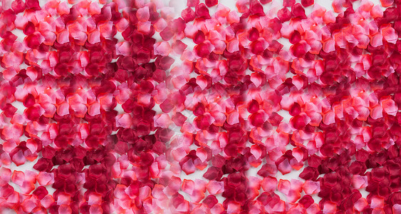 小清新红色鲜花花墙背景设计图片