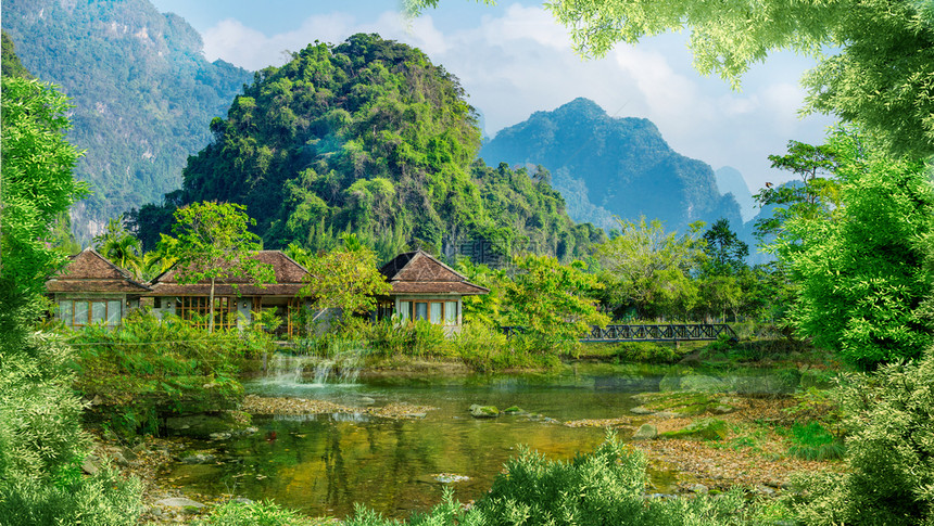 森林风景图片