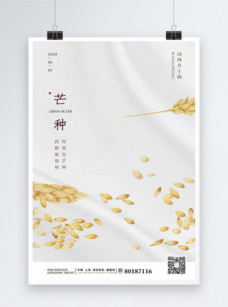 发芽种子简约文艺芒种稻谷二十四节气海报模板