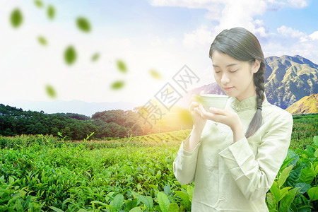 彝族姑娘茶背景设计图片