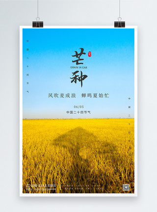 中国节气芒种二十四节气芒种写实照片宣传海报模板