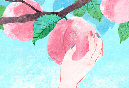 夏天摘桃子桃子纹理高清图片