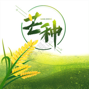 水彩绿色水稻芒种插画gif动图高清图片