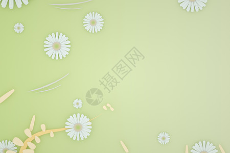 雏菊插画立体花卉背景设计图片