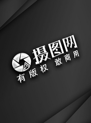 学位标志LOGO烫银立体样机模板模板