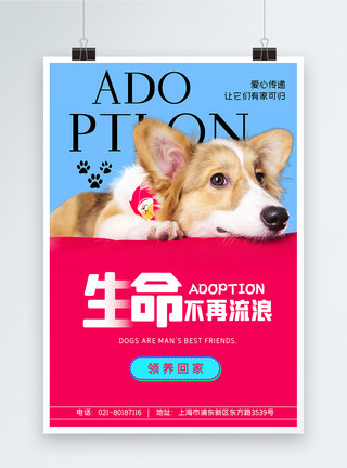 不同品种的宠物狗领养宠物公益海报设计模板