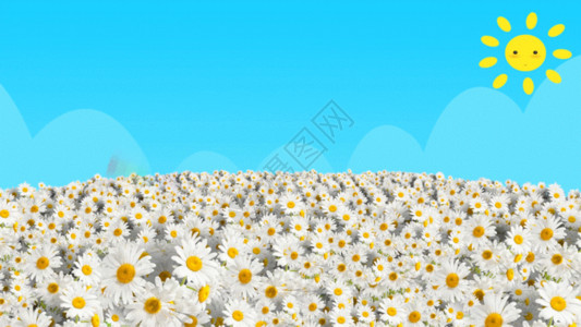 白色简洁夏天卡通花海GIF高清图片