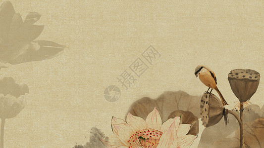 中国风工笔画莲花背景设计图片