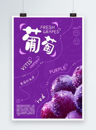 新鲜葡萄海报夏季新鲜水果葡萄海报模板
