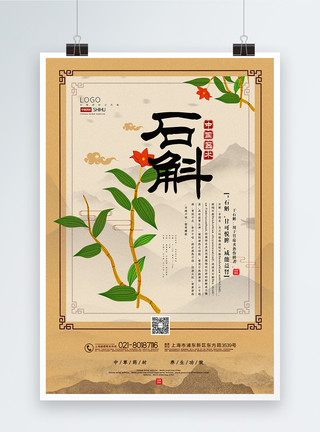 铜皮石斛大气中国风石斛中药材系列海报模板