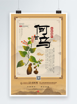 中国风益母草中药材系列海报大气中国风何首乌中药材系列海报模板