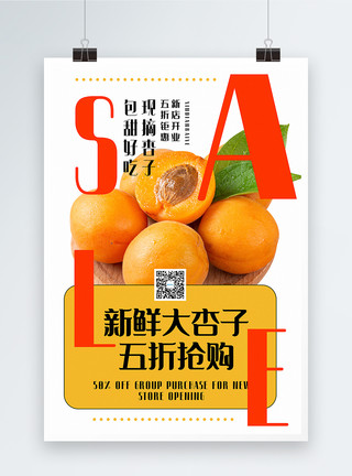 新鲜杏子水果促销海报模板